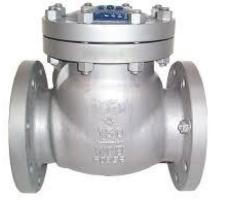 CHECK VALVES IN KOLKATA